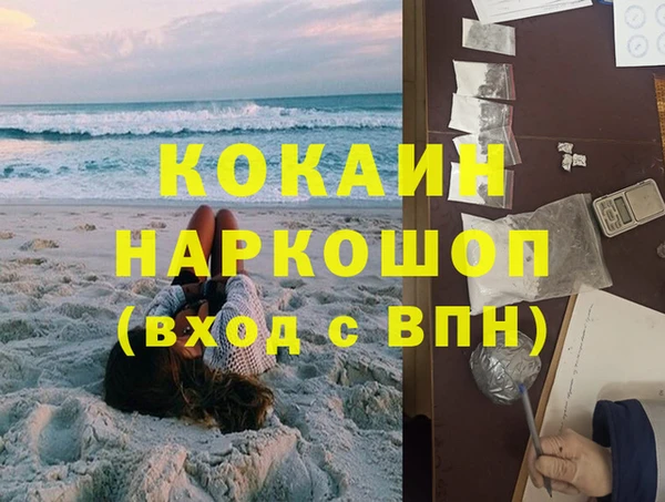 гидра Няндома
