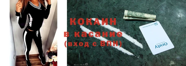 гидра Няндома