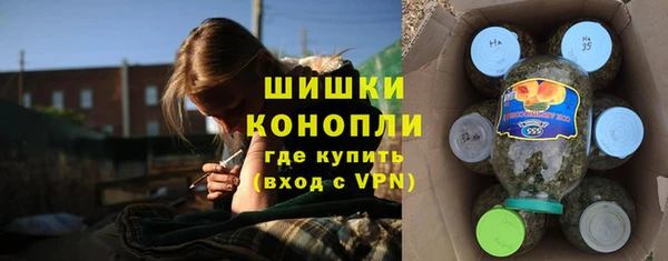 гидра Няндома