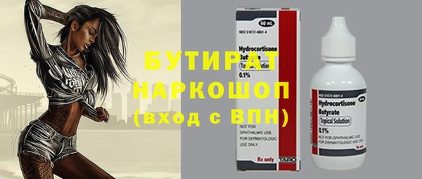 гидра Няндома