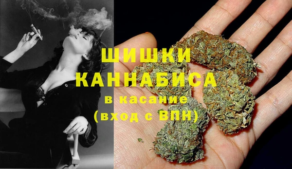 гидра Няндома