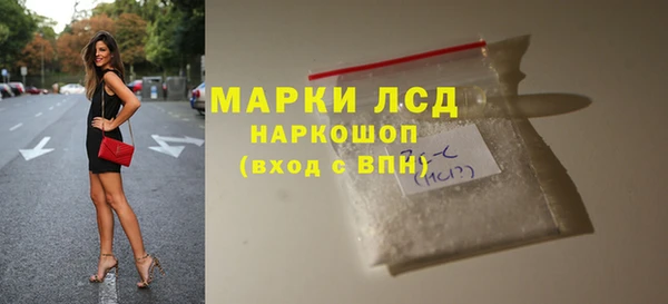 гидра Няндома