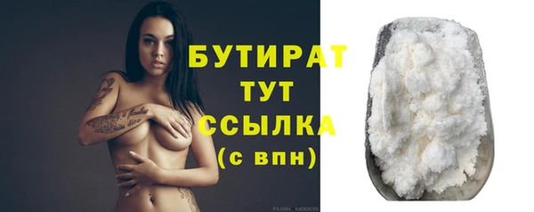 гидра Няндома