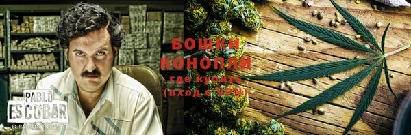 гидра Новозыбков