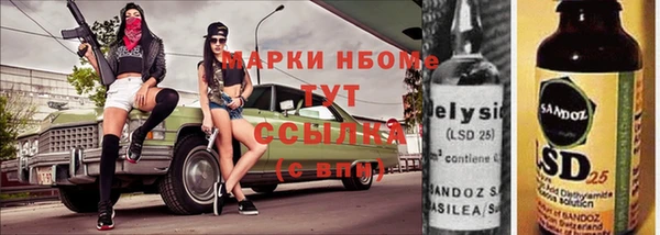 гидра Няндома