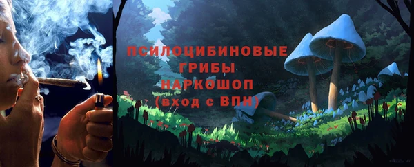 гидра Новозыбков