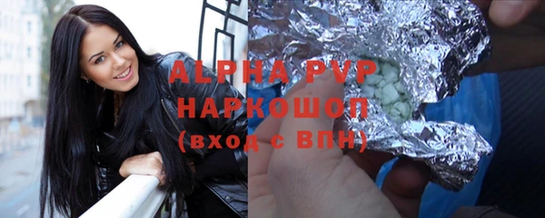 гидра Няндома