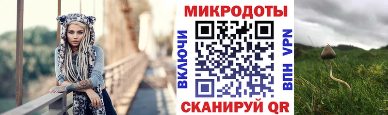 Псилоцибиновые грибы Psilocybe Сосновка